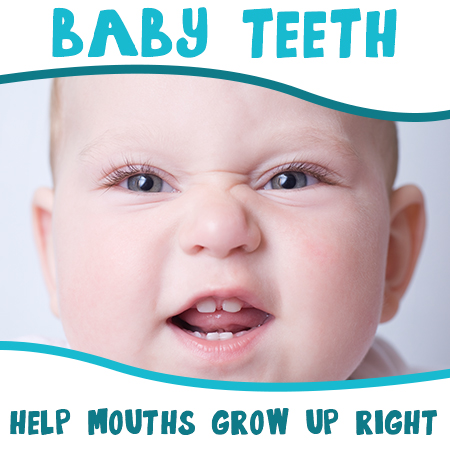 baby_teeth