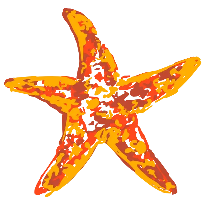 Icon - A Positive Dental Experience