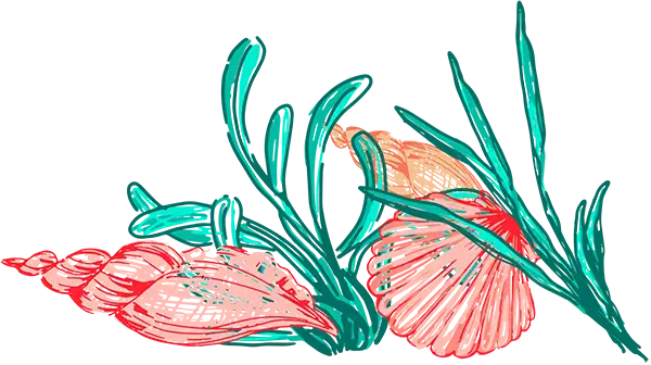 Illustration: Sea Creatures